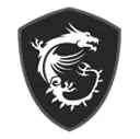 MSI